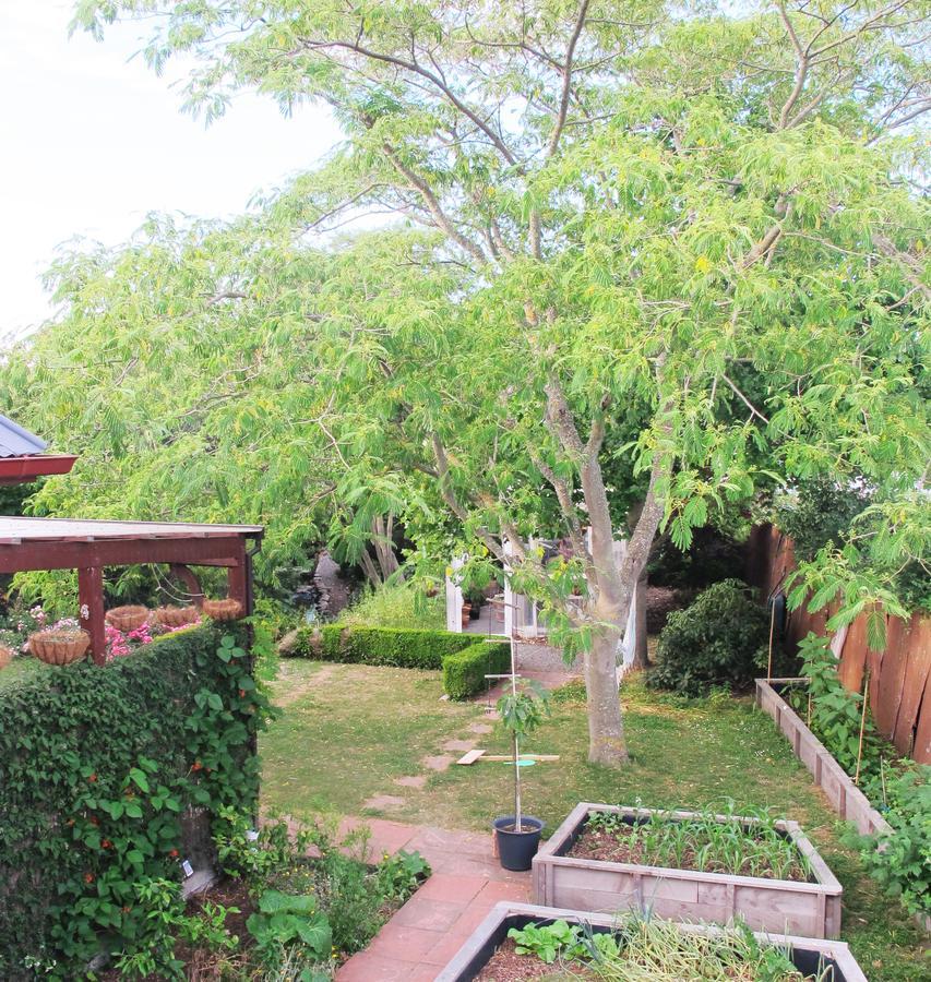 The Old Vicarage Studio Bed & Breakfast Amberley Luaran gambar